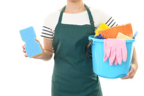 Professional carpet cleaning in a Millbank home interior