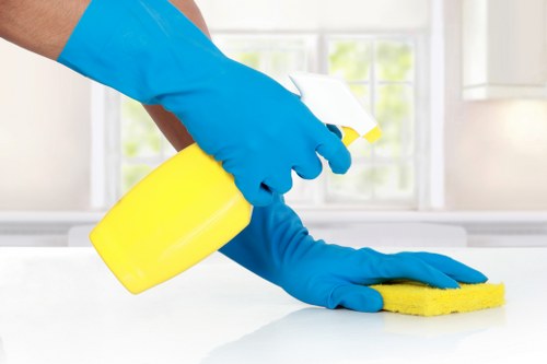 Mattress stain treatment during a cleaning service in Millbank
