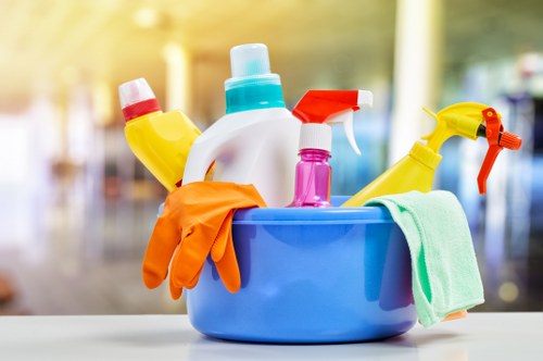 Upholstery cleaning process for a sofa in Millbank home