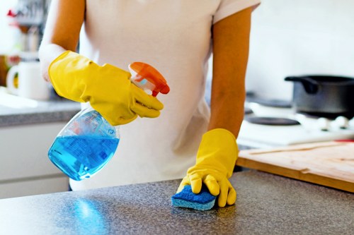 Deep pet odour extraction service for upholstery in Millbank