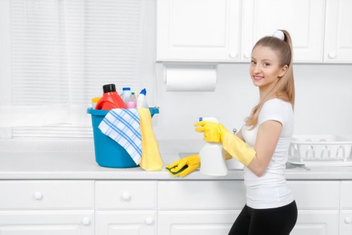 Inclusive web experience for accessible Millbank carpet cleaners
