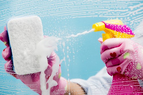 Professional carpet cleaning team assessing a property for hazards